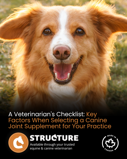 A healthy dog