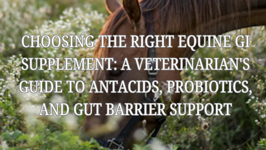 Choosing the Right Equine GI Supplement: A Veterinarian's Guide to Antacids, Probiotics, and Gut Barrier Support