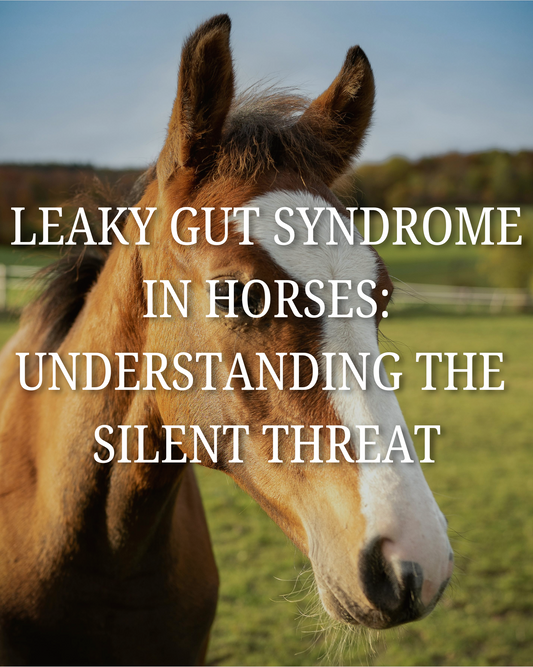 Leaky Gut Syndrome in Horses: Understanding the Silent Threat