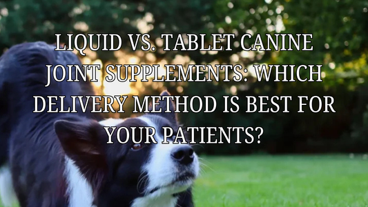 Liquid vs Tablet Canine Joint Supplements