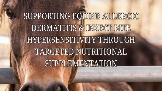 A brown horse protected from dermatitis