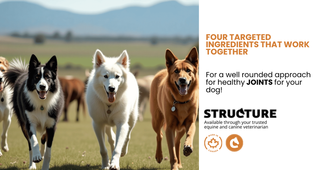 STRUCTURE CANINE JOINT HEALTH