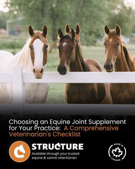 Choosing an Equine Joint Supplement for Your Practice: A Comprehensive Veterinarian's Checklist