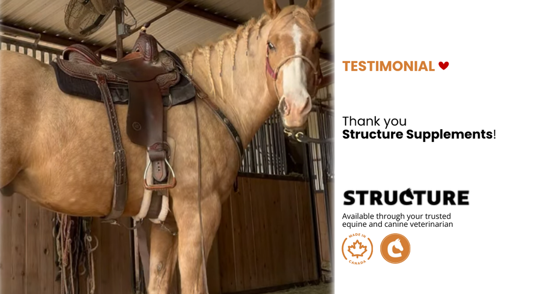 TESTIMONIAL for STRUCTURE GI