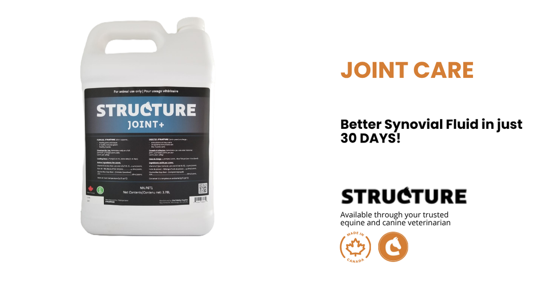 STRUCTURE JOINT+
