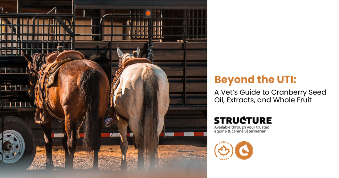 cranberry seed oil for dogs