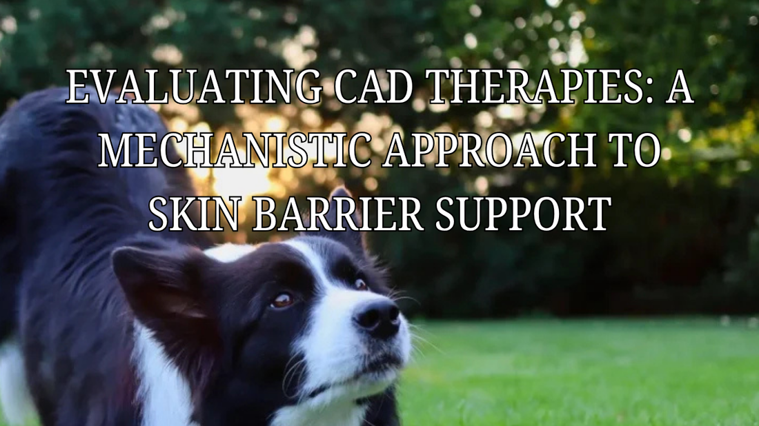 Evaluating CAD Therapies: A Mechanistic Approach to Skin Barrier Support