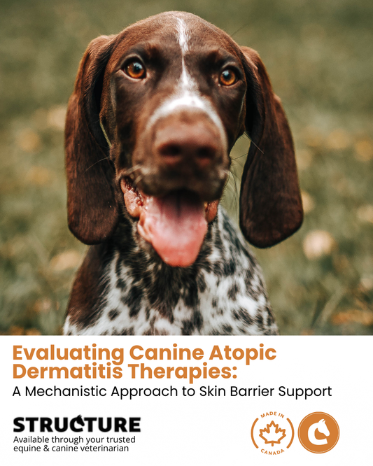 Evaluating Canine Atopic Dermatitis Therapies: A Mechanistic Approach to Skin Barrier Support