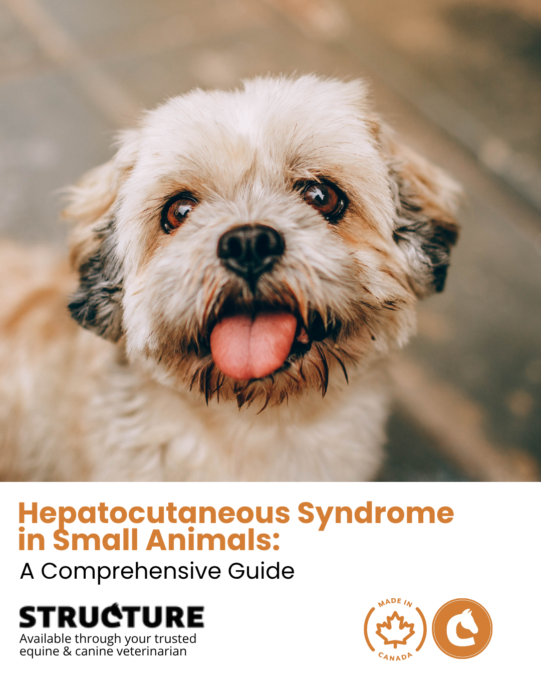 Hepatocutaneous Syndrome in Small Animals: A Comprehensive Guide