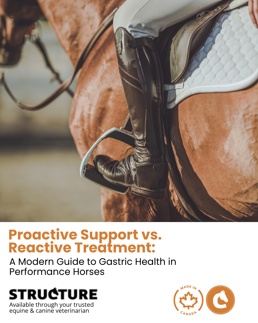 Proactive Support vs Reactive Treatment for Gastric Health