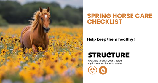 SPRING HORSE CARE CHECKLIST
