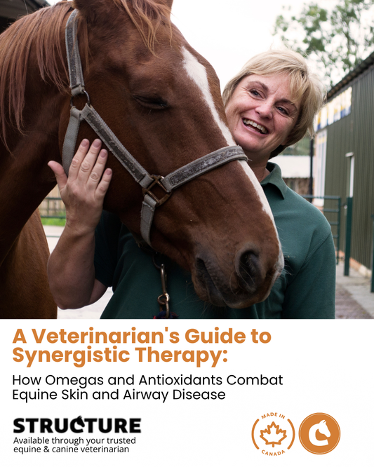 A Veterinarian's Guide to Synergistic Therapy: How Omegas and Antioxidants Combat Equine Skin and Airway Disease